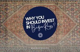 5 Reasons Why You Should Invest In Bidjar Rugs