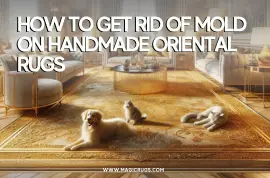 How to Get Rid of Mold On Handmade Oriental Rugs