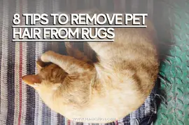 8 Tips to Remove Pet Hair and Stains From Handmade Rugs