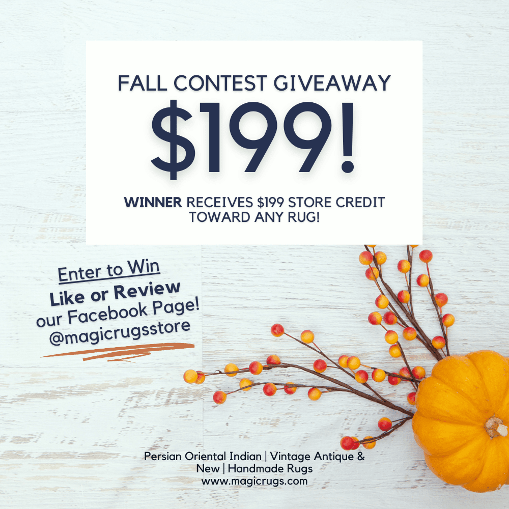 Fall Contest Giveaway WIN $199!