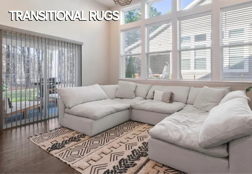 transitional rug in modern living room