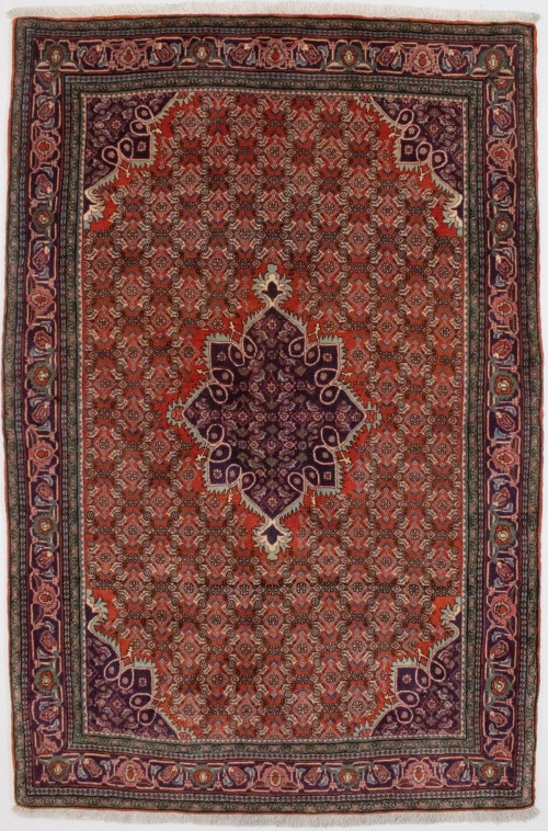 Orange & Purple Floral 5X7 Bidjar Persian Rug