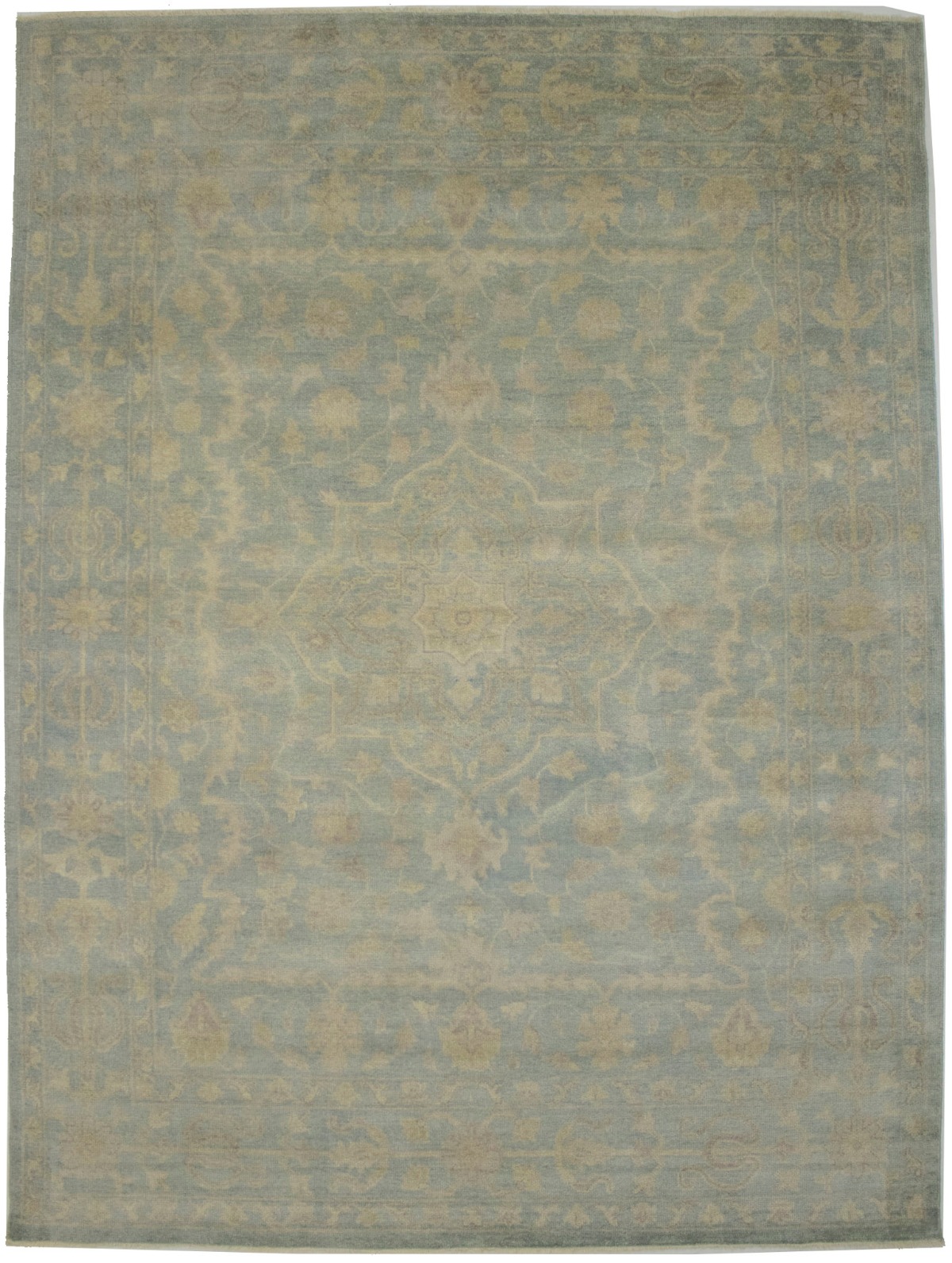 Aqua Blue Floral Transitional 9X12 Oriental Rug