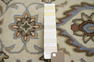 Traditional Cream 4X6 Agra Oriental Rug