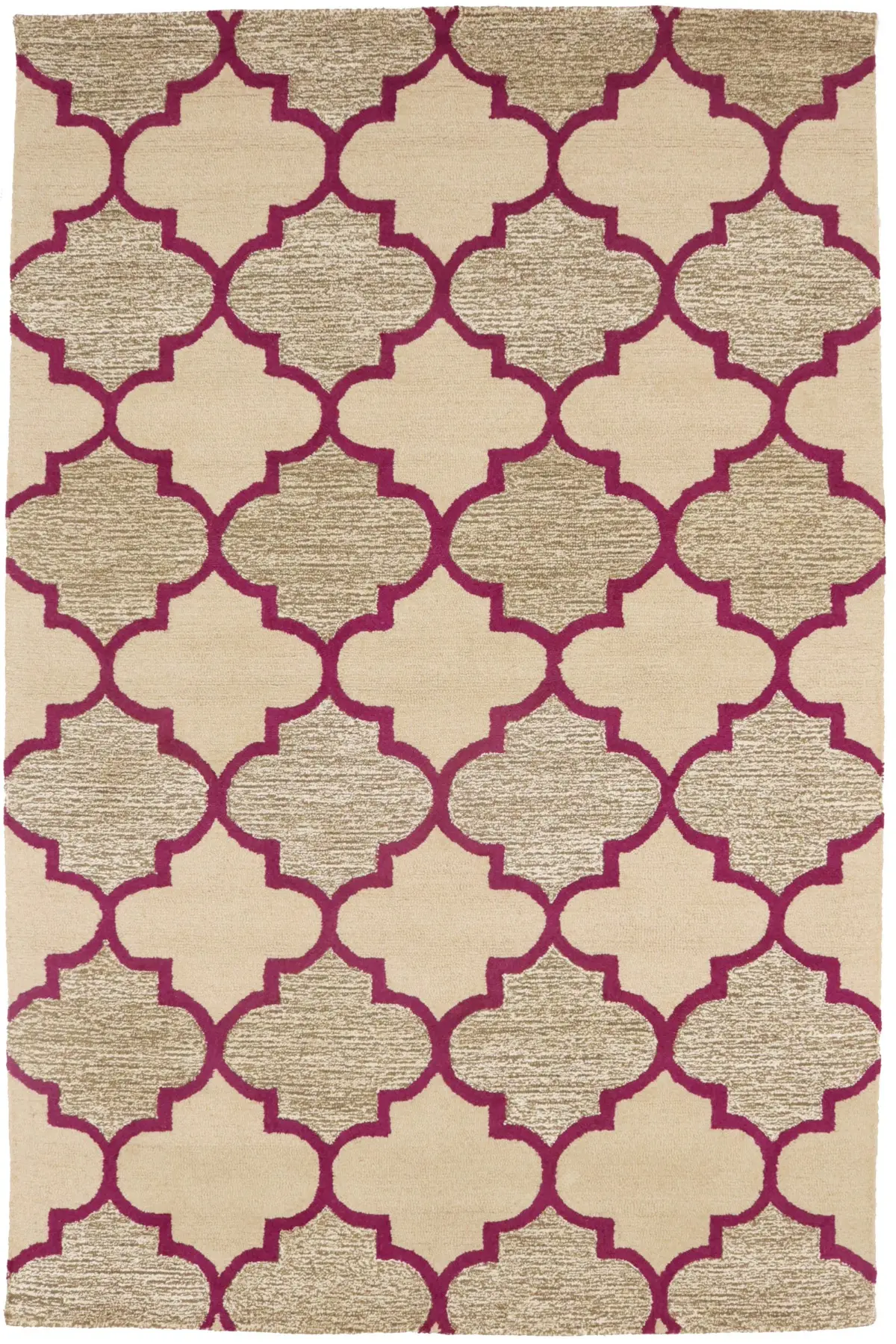 Multicolored Trellis 5X8 Hand-Tufted Modern Rug