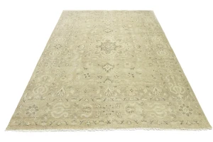 Muted Pinkish Beige Floral 9X12 Transitional Oriental Rug