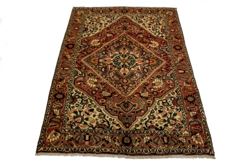 Rusty Red Vintage Floral 7X10 Traditional Bakhtiari Persian Oriental Rug