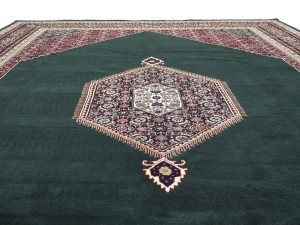 Green Floral Tribal 9X12 Indo-Bidjar Oriental Rug
