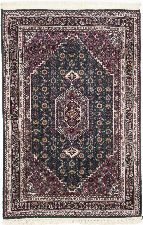 Green Floral Tribal 4X6 Indo-Bidjar Oriental Rug