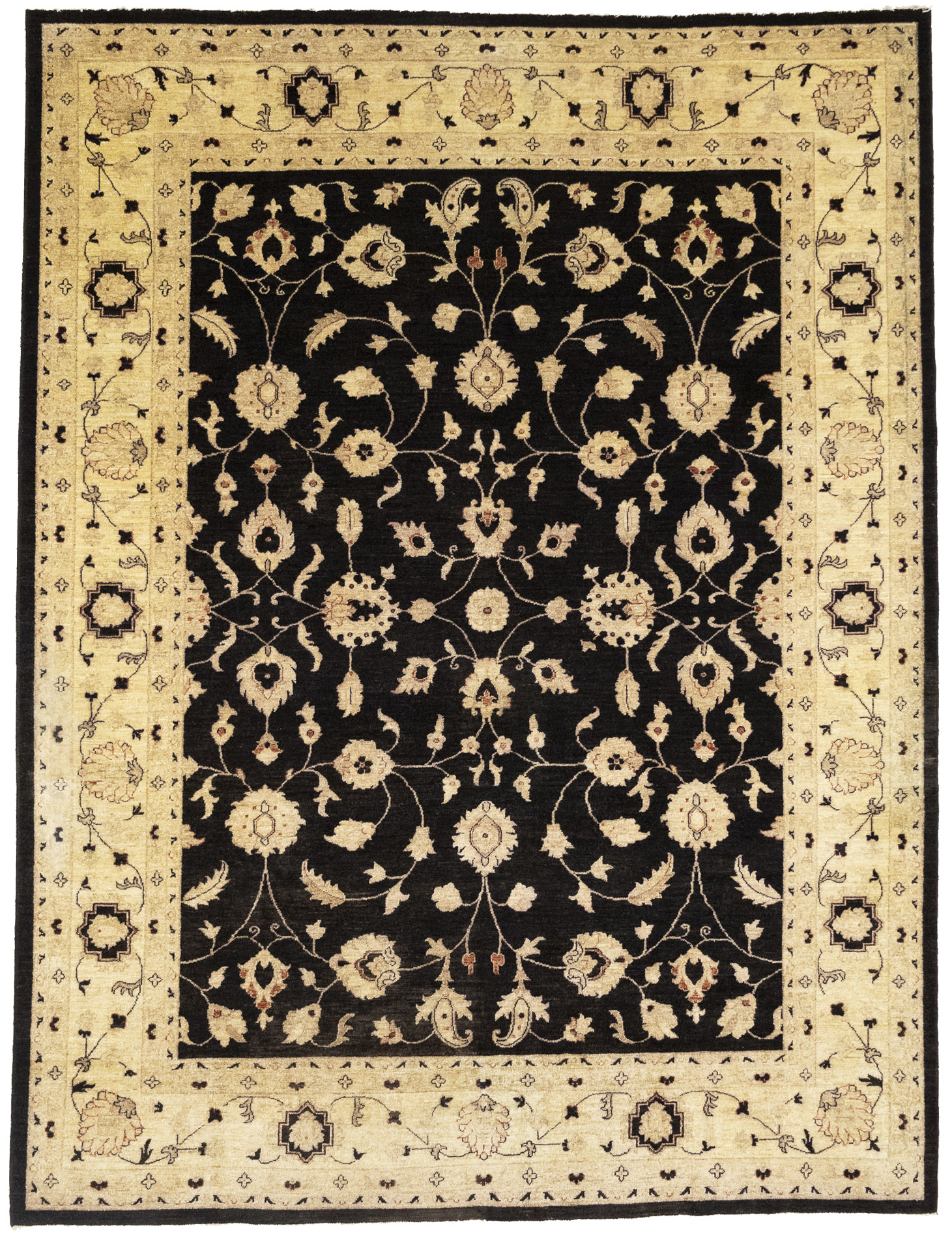 Black Floral Peshawar 9X12 Pakistan Oriental Rug