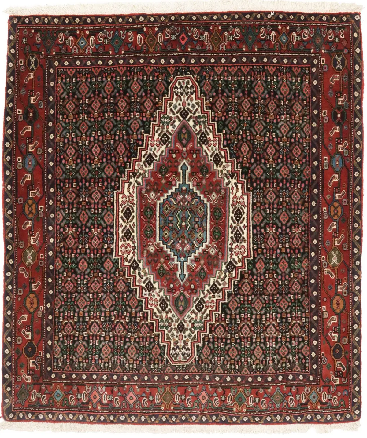 Rusty Red Floral 4X5 Bidjar Persian Rug