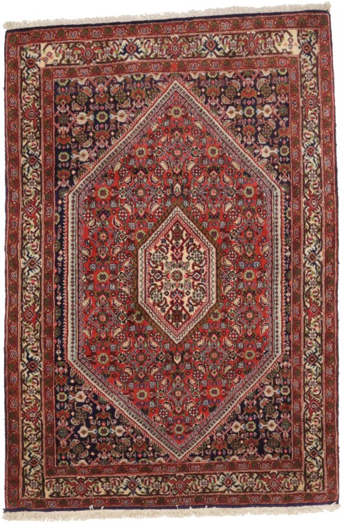 Vintage Orange Floral 3X4 Bidjar Persian Rug