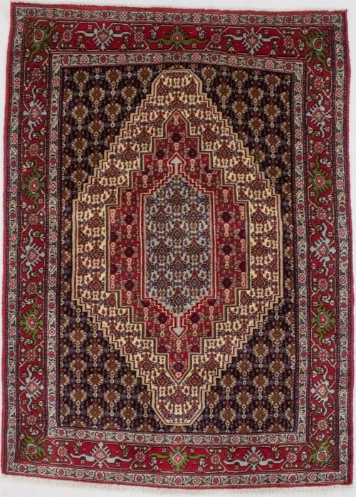 Red Geometric 4X6 Bidjar Persian Rug